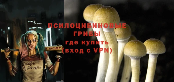 a pvp Алзамай