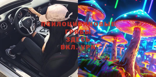 a pvp Алзамай