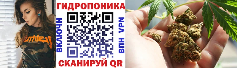 Шишки марихуана тримм  как найти   Куйбышев 
